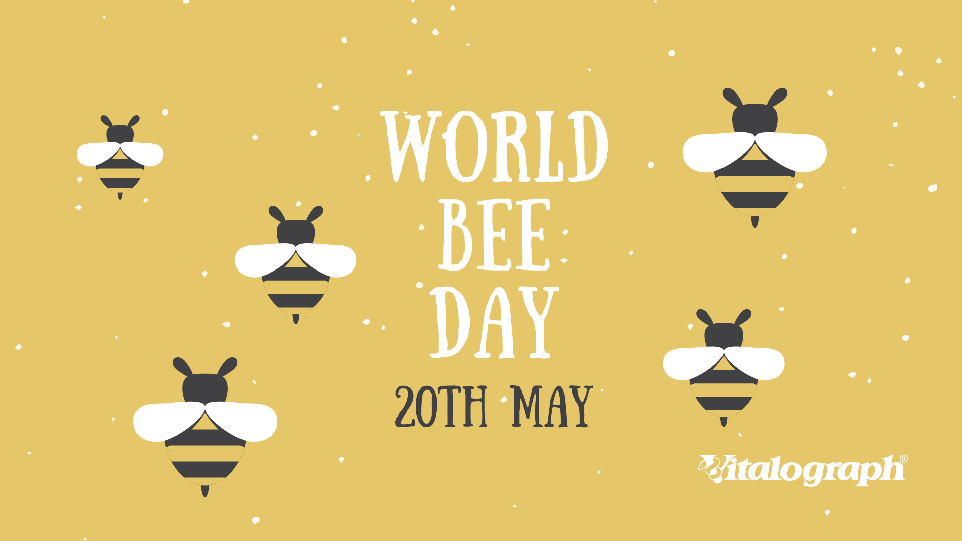 World Bee Day
